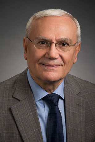 Khalil N. Rizk